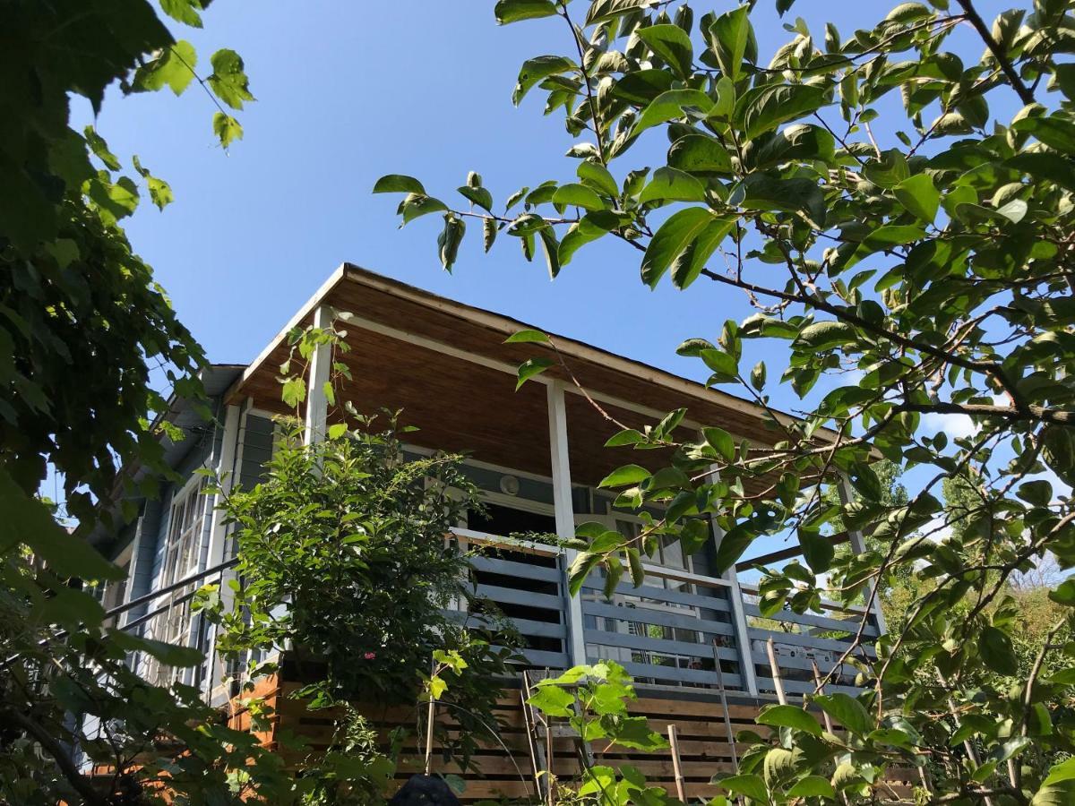 Eco Cottage Marina New Athos Exterior foto
